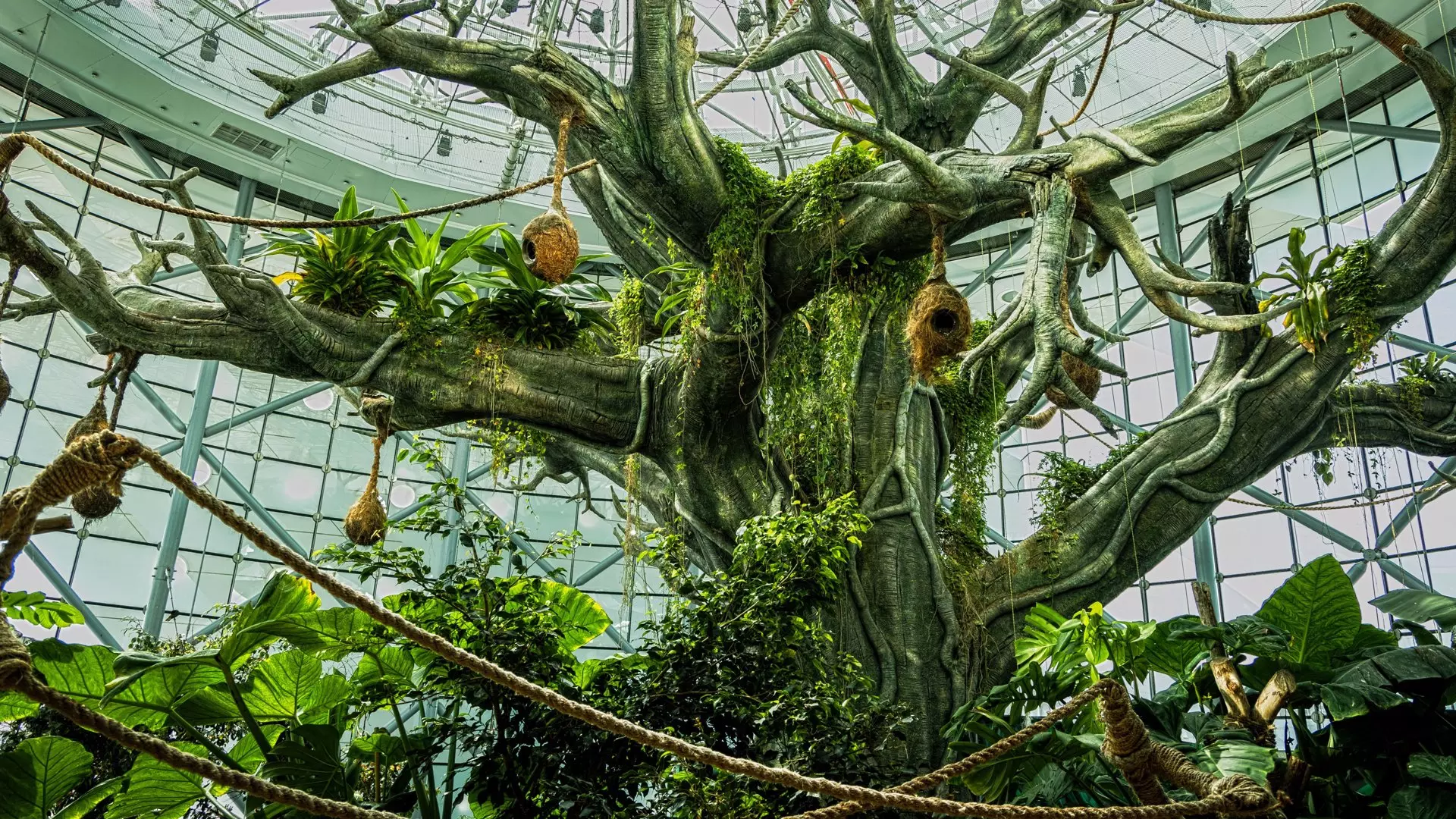 The Green Planet - Photo 32