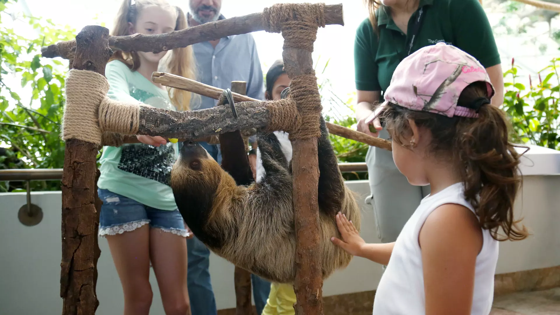 The Green Planet - Photo 33