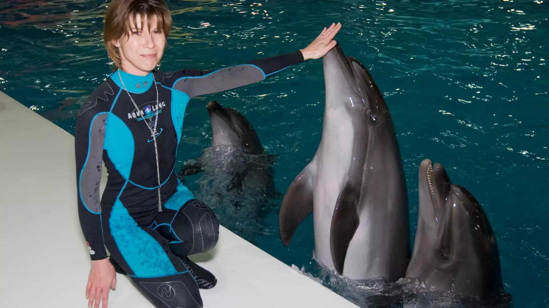Dubai Dolphinarium - Photo 12