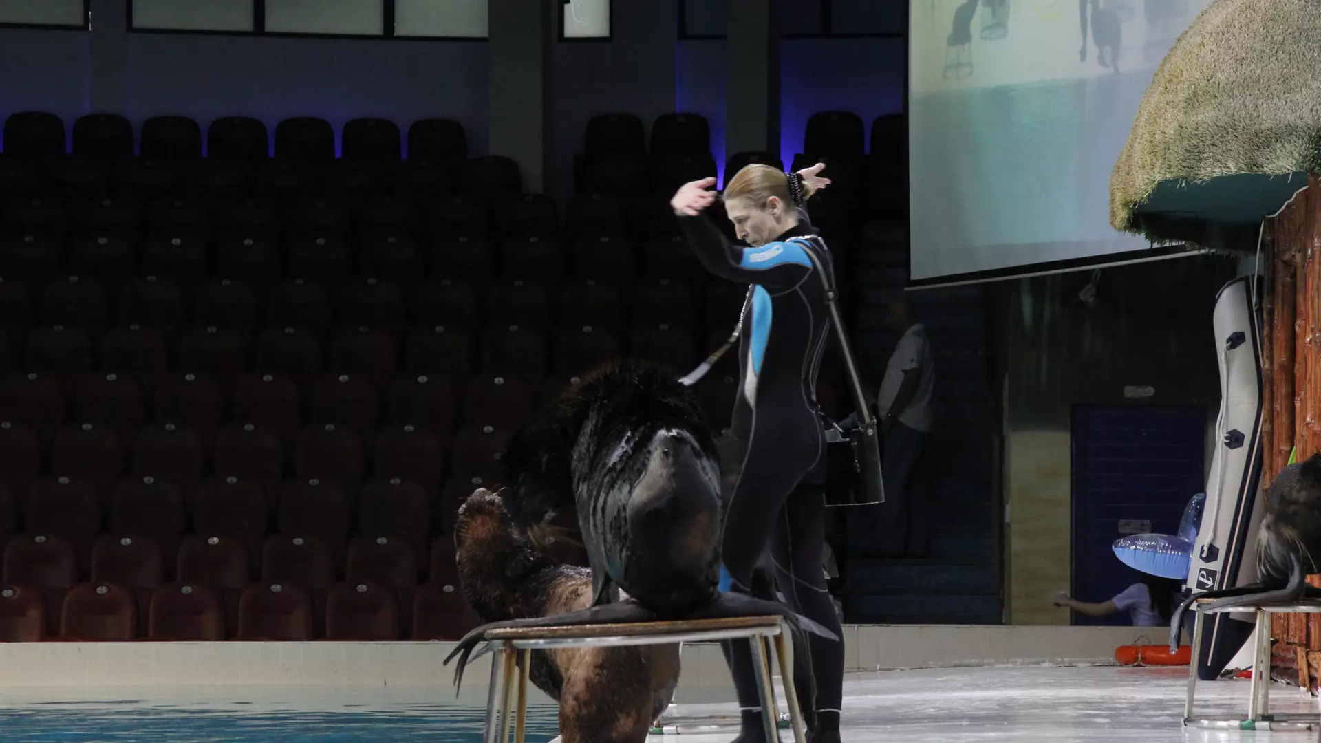 Dubai Dolphinarium - Photo 15