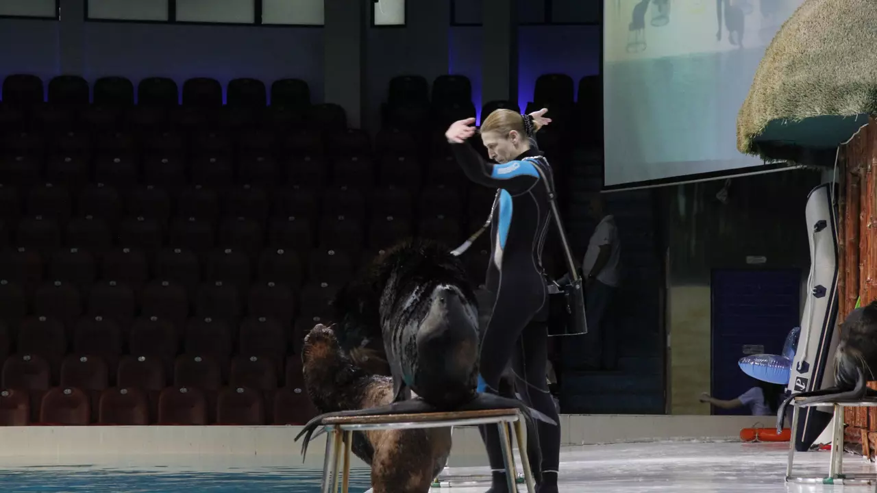 Dubai Dolphinarium - Photo 4