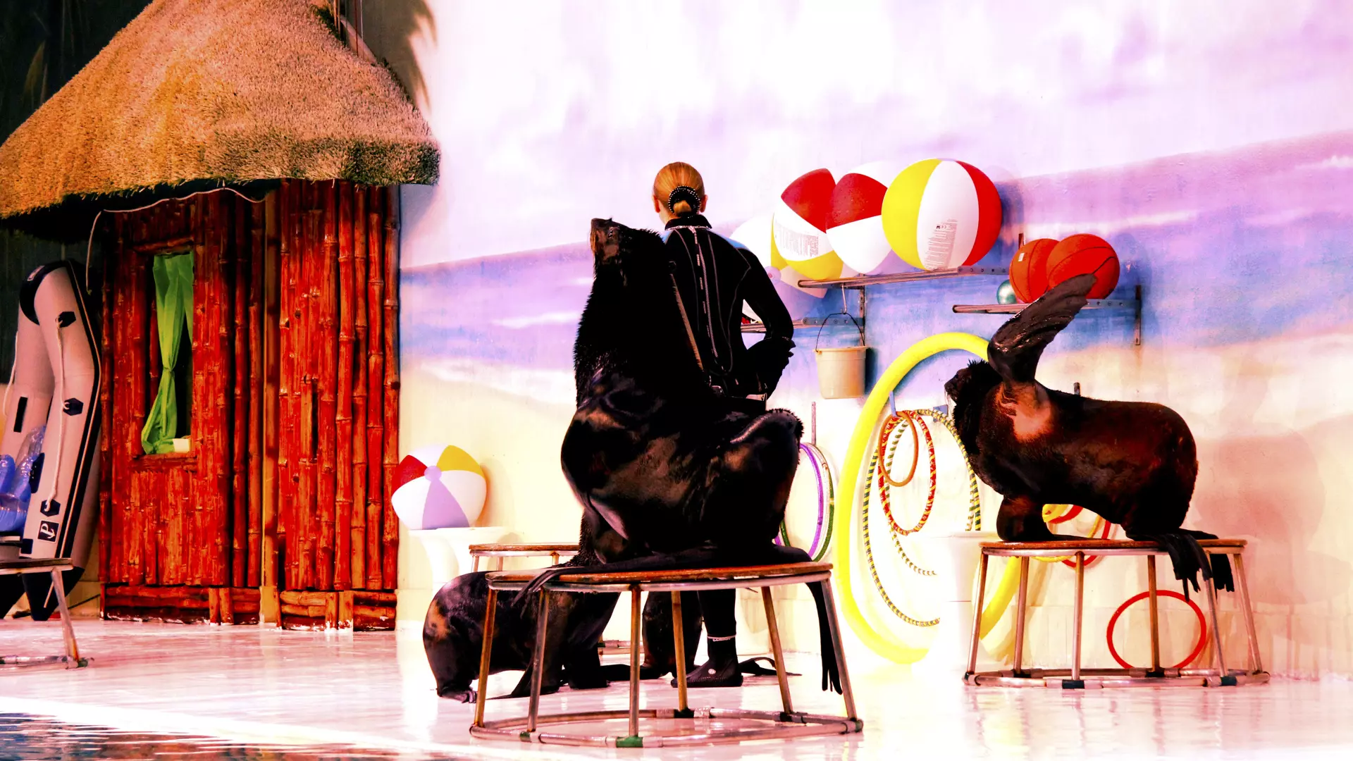 Dubai Dolphinarium - Photo 16