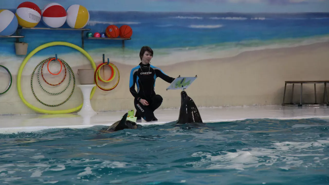 Dubai Dolphinarium - Photo 7
