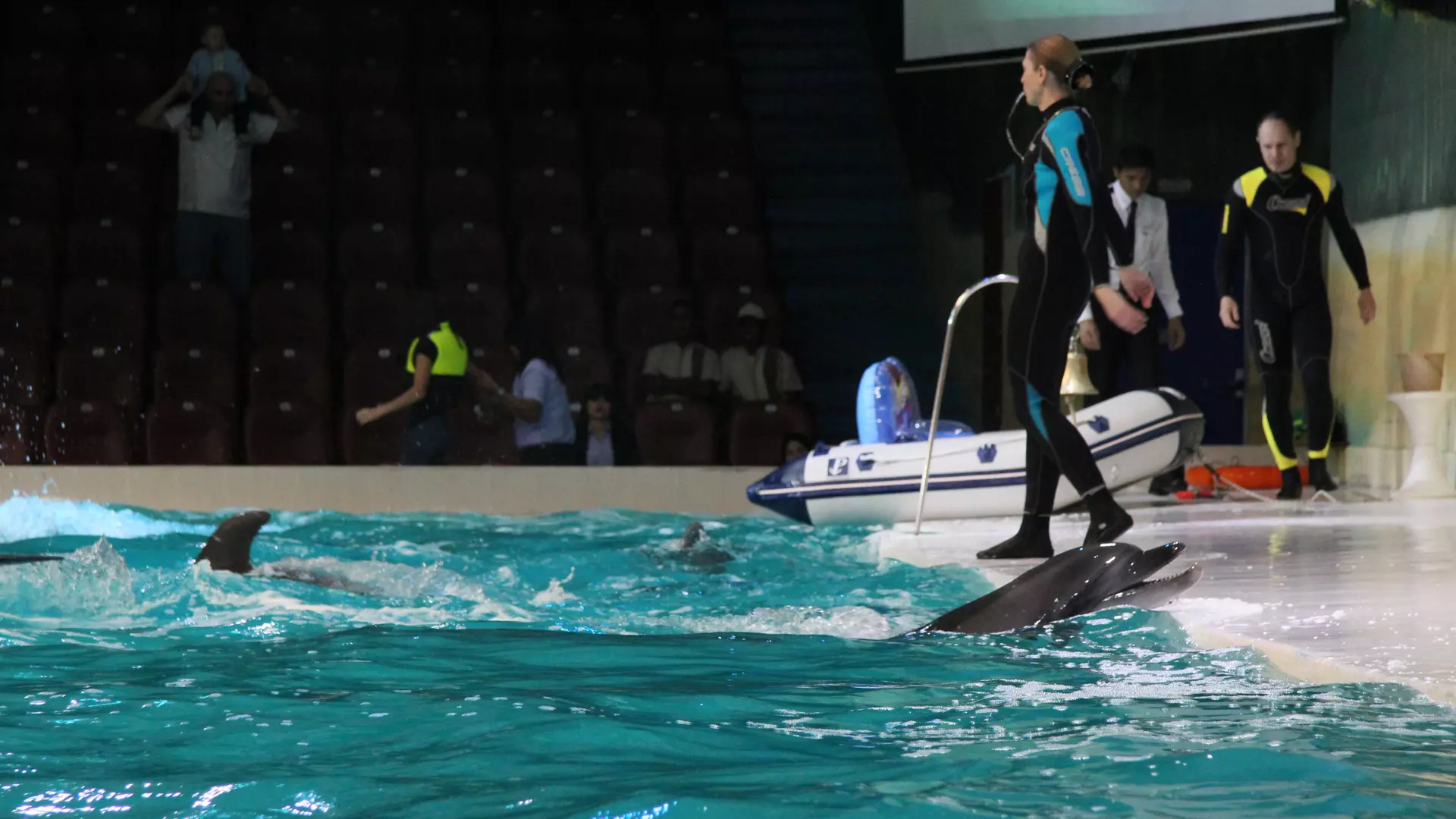 Dubai Dolphinarium - Photo 19