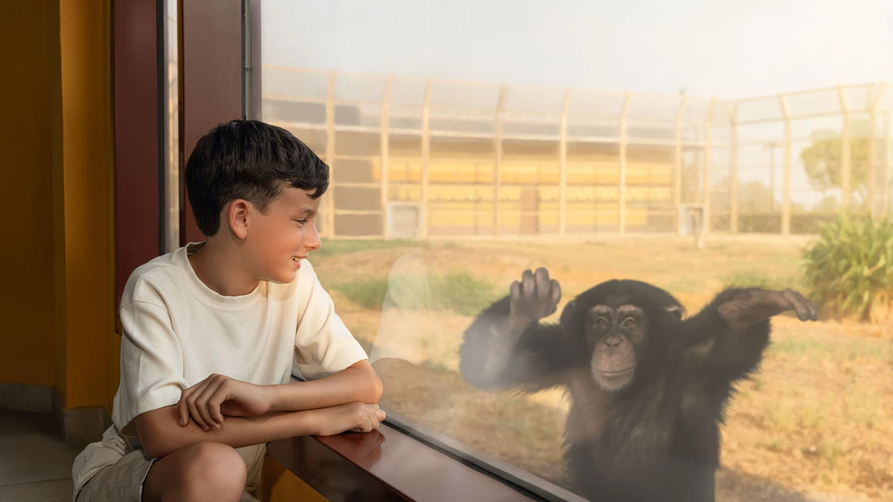 Зоопарк Dubai Safari Park