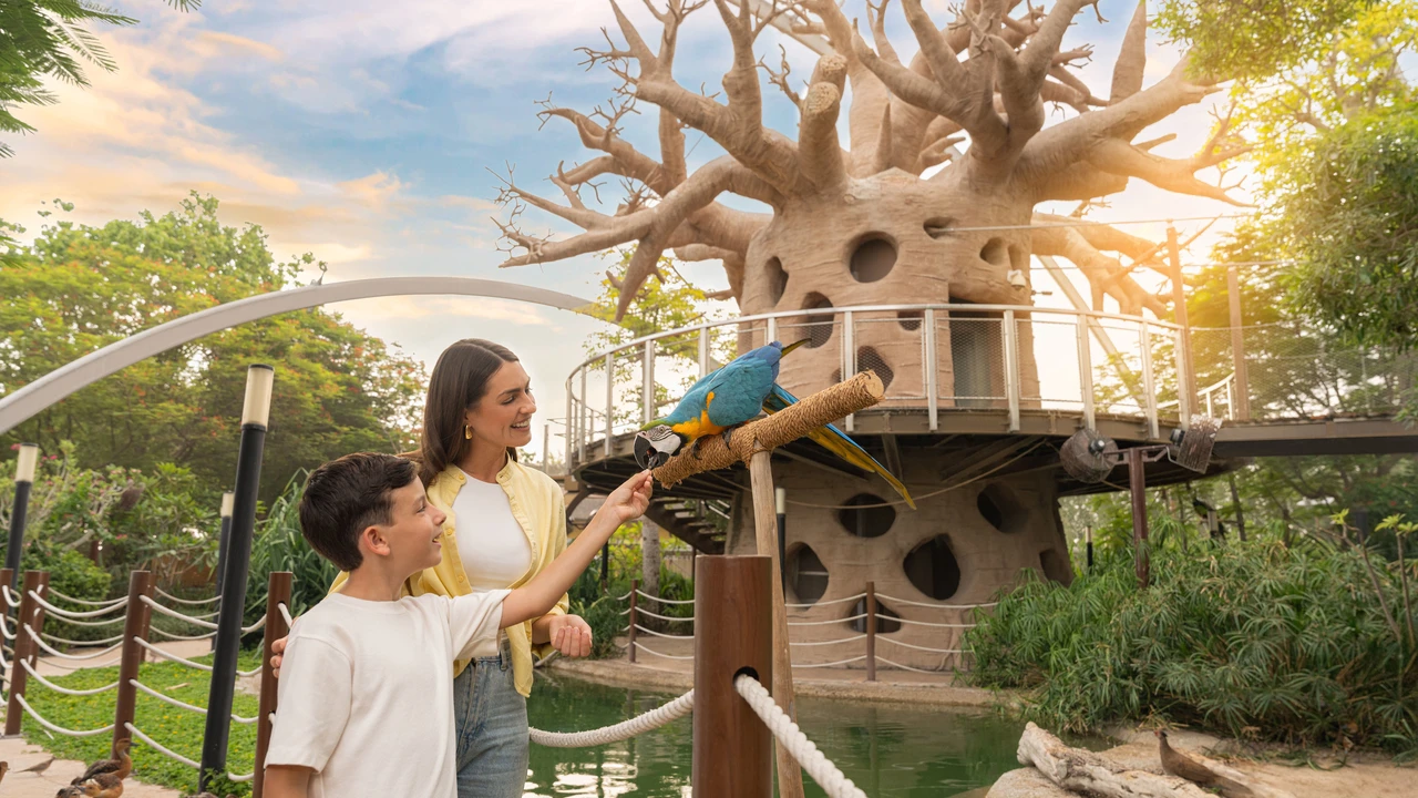 Зоопарк Dubai Safari Park