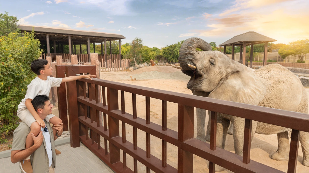 Зоопарк Dubai Safari Park