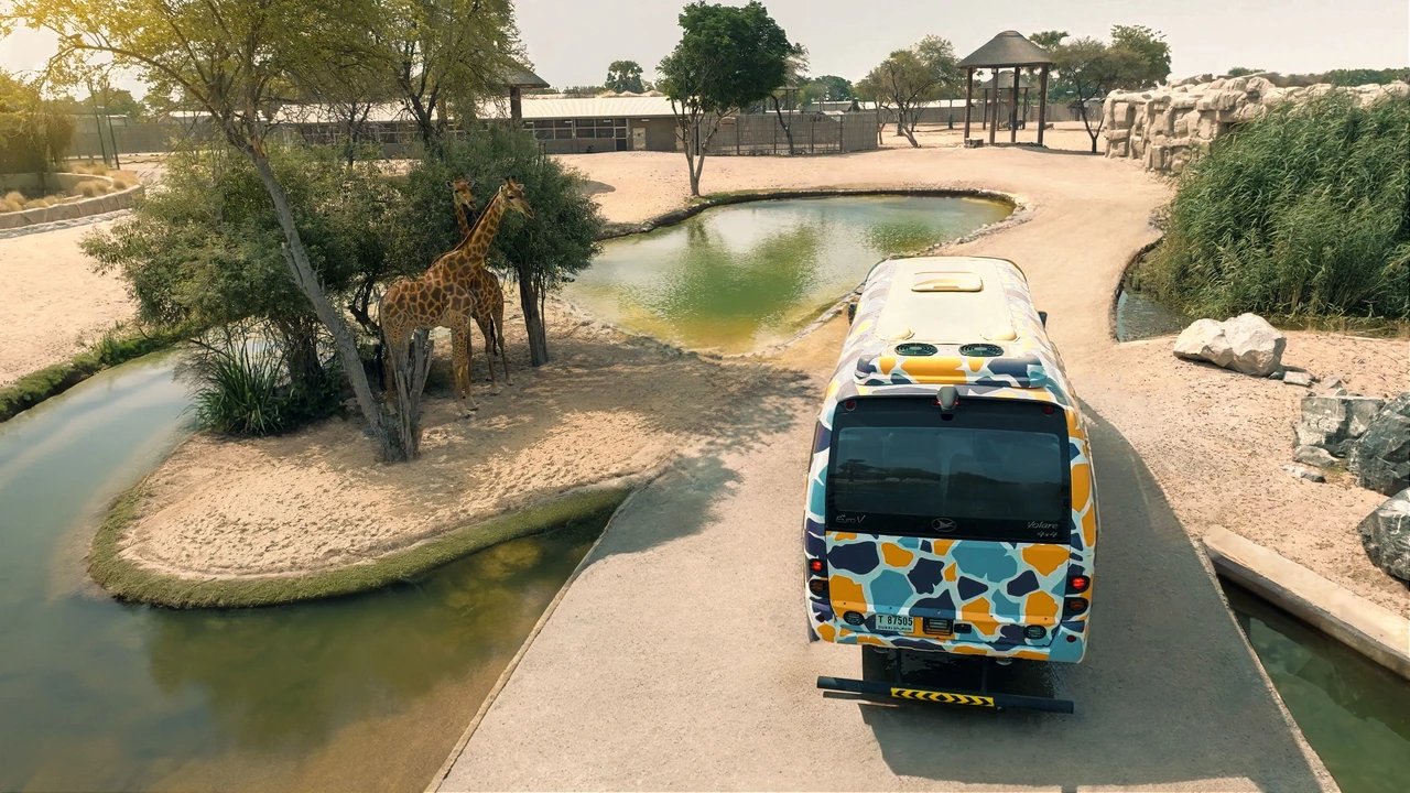 Зоопарк Dubai Safari Park