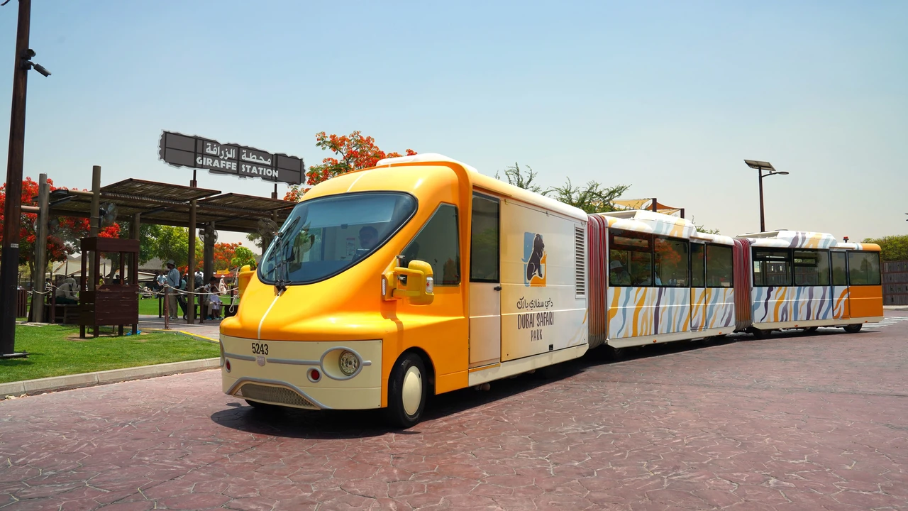 Зоопарк Dubai Safari Park