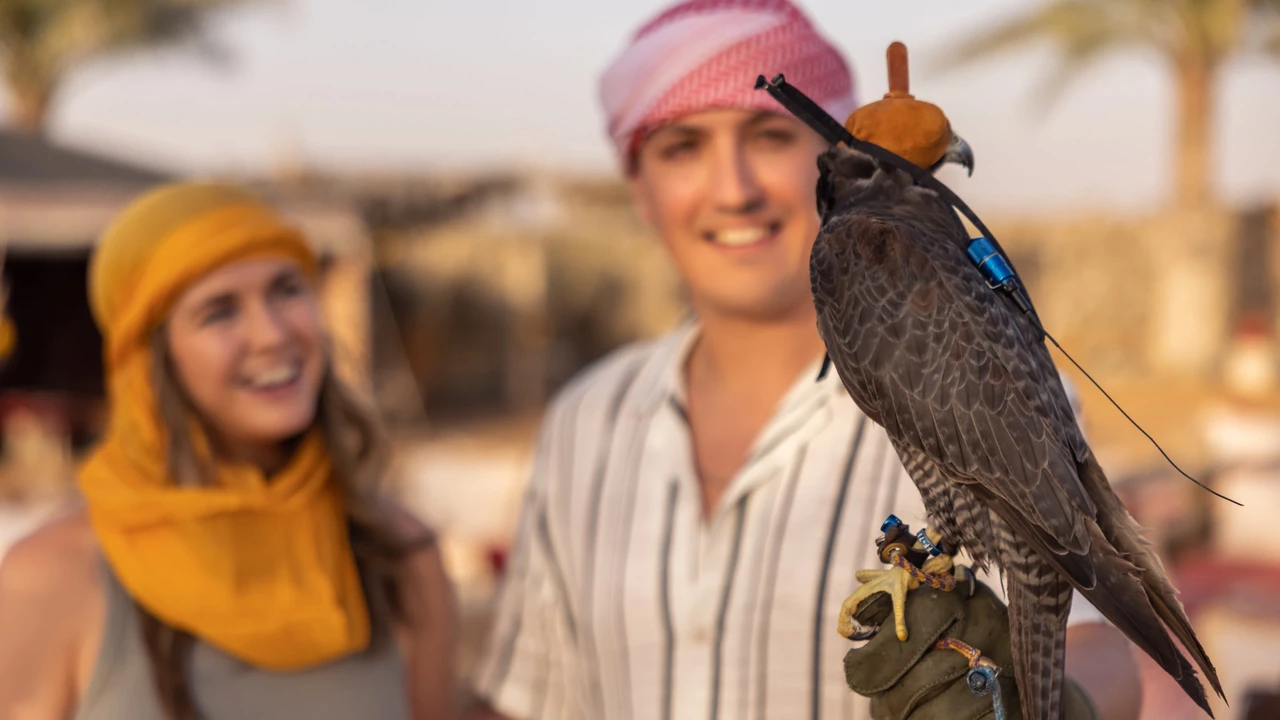 Heritage Morning Safari: Bedouin Culture