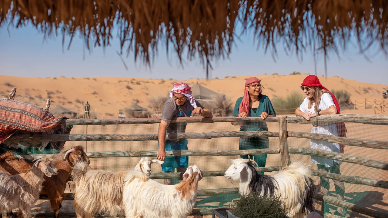 Heritage Morning Safari: Bedouin Culture