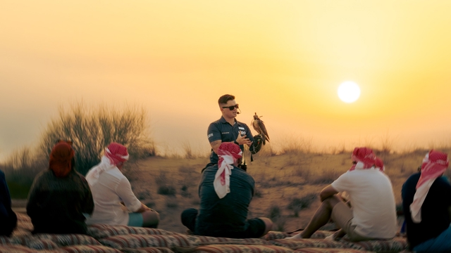 Sunset falcon show