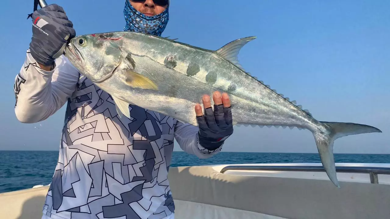 Рыбалка в Рас Аль Хайме