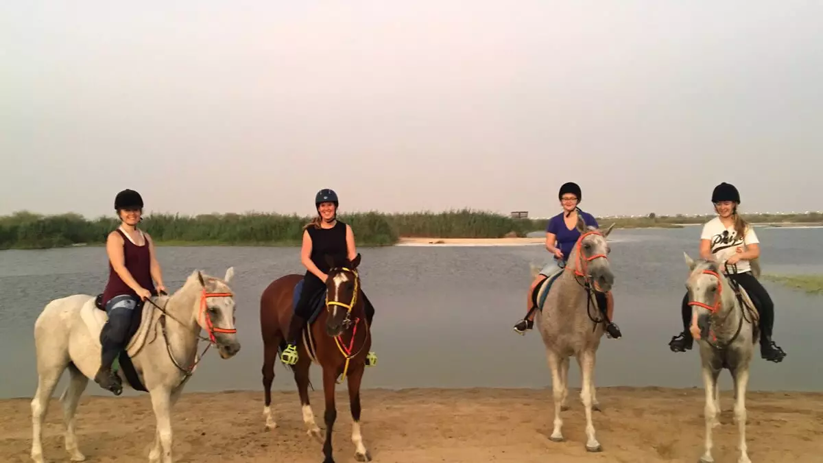 Катание на лошадях в Дубае