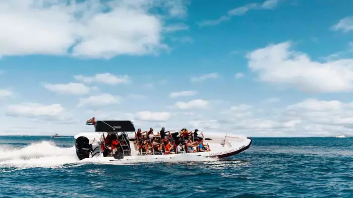 Морская прогулка на скоростном катере