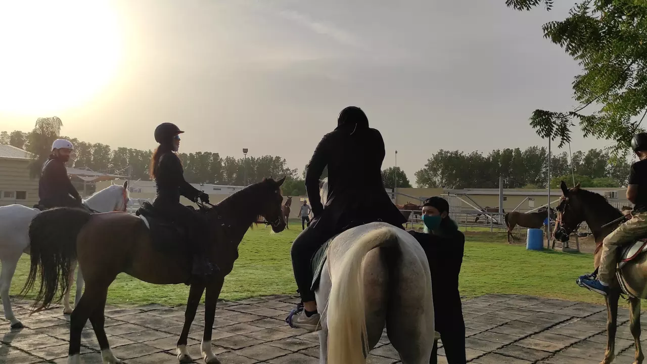 Катание на лошадях в Дубае