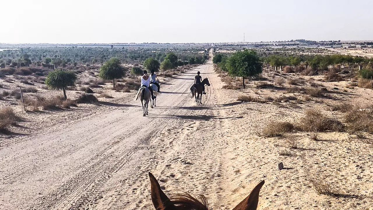 Катание на лошадях в Дубае