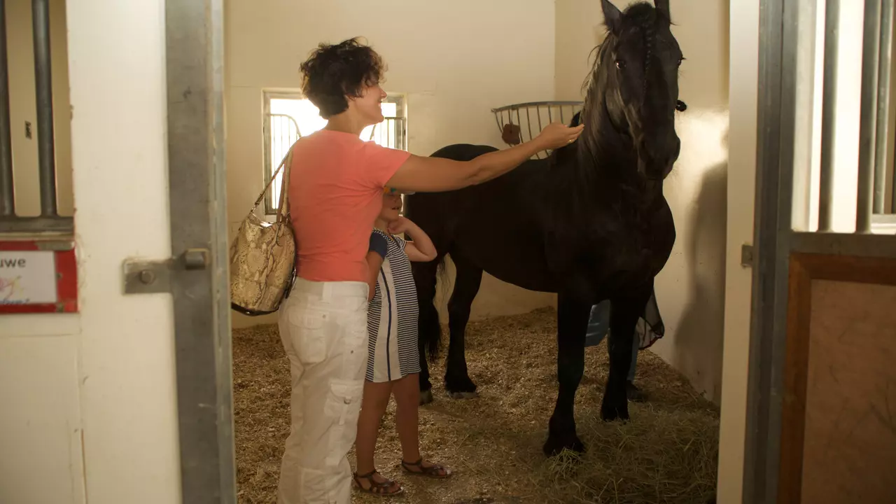 Катание на лошадях в Дубае