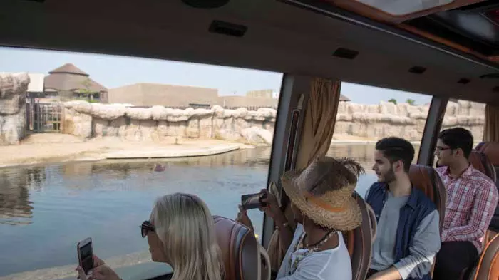 Зоопарк Dubai Safari Park