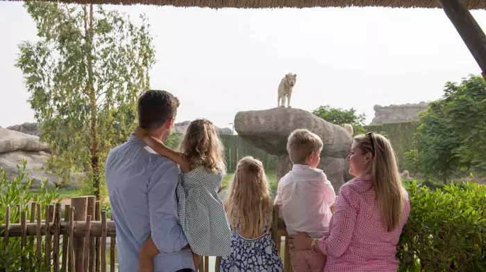 Зоопарк Dubai Safari Park