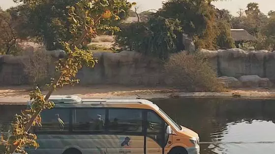 Зоопарк Dubai Safari Park