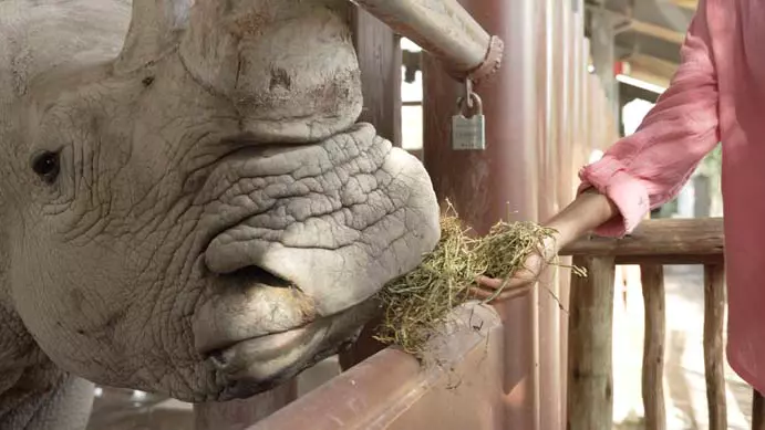 Зоопарк Dubai Safari Park