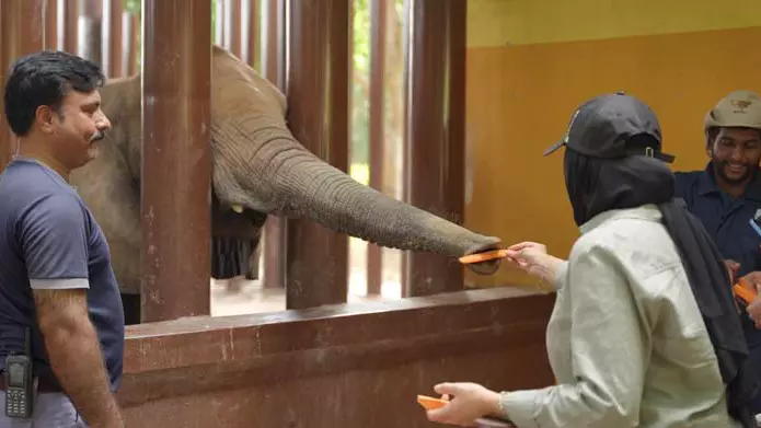 Зоопарк Dubai Safari Park