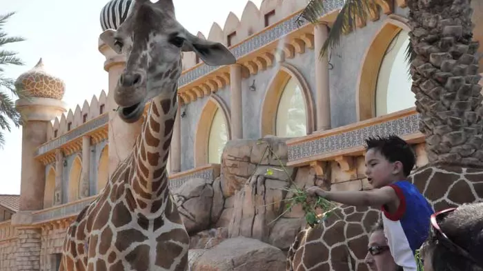 Зоопарк в Абу-Даби Emirates Park Zoo