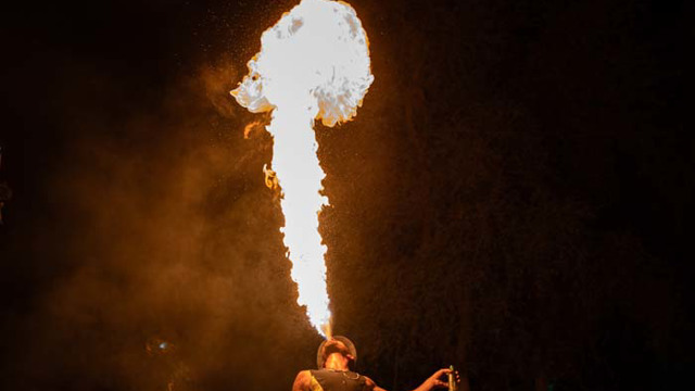 Live show (belly dancing, Tanoura, Fire Show)