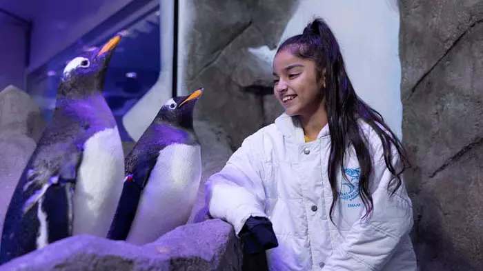 Аквариум и подводный зоопарк в Дубай Молле