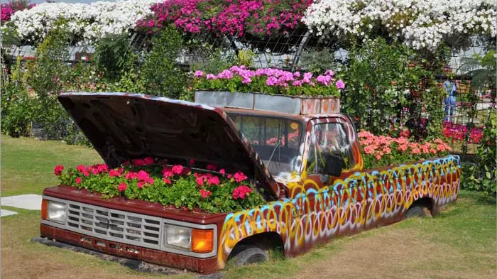 Dubai Miracle Garden - Photo 4
