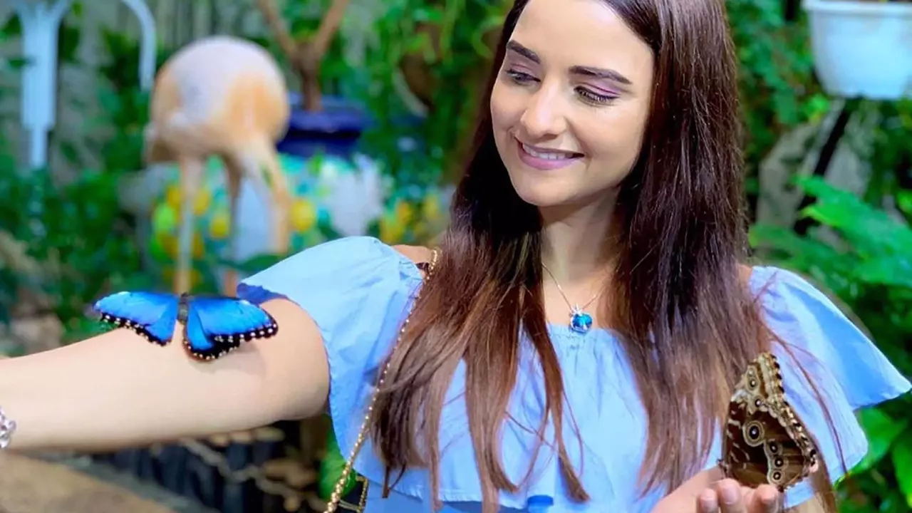 Dubai Butterfly Garden - Photo 4