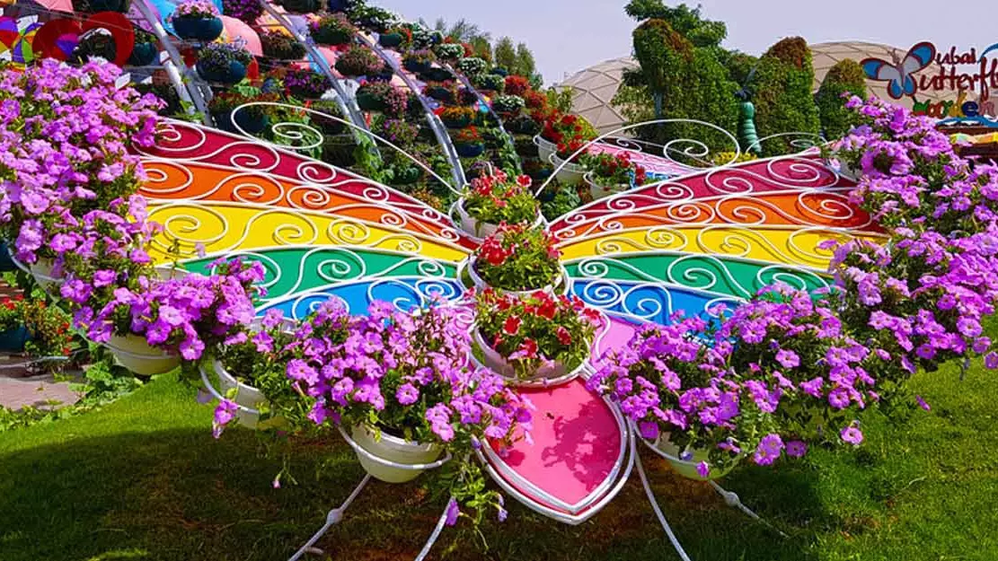 Dubai Butterfly Garden - Photo 5