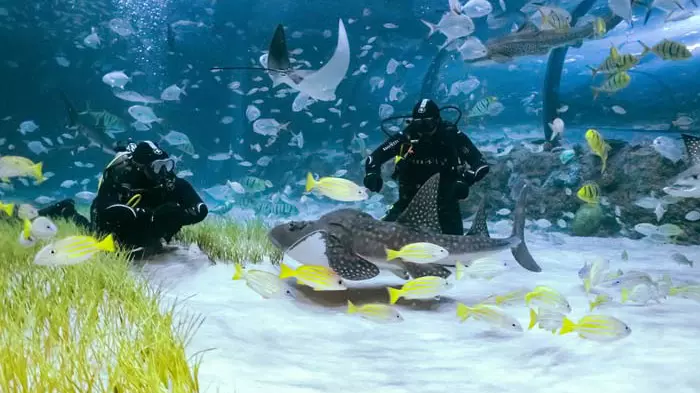 Национальный океанариум Абу-Даби