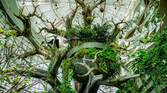 Тропический парк The Green Planet