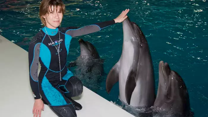 Шоу дельфинов в Дубайском дельфинарии