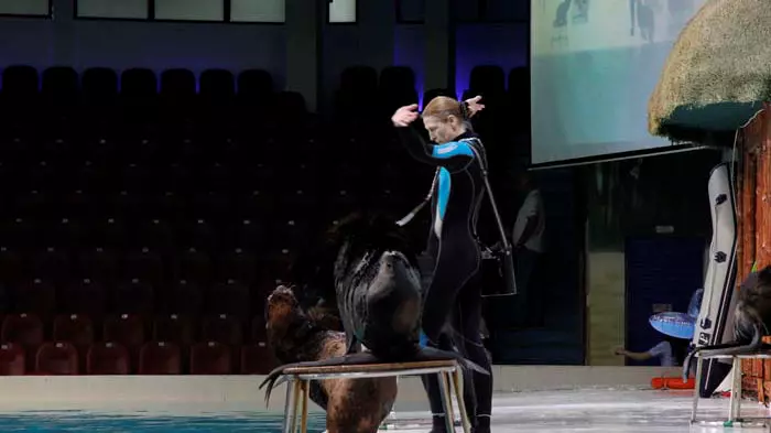 Шоу дельфинов в Дубайском дельфинарии