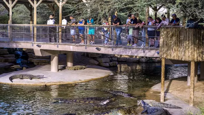 Парк крокодилов