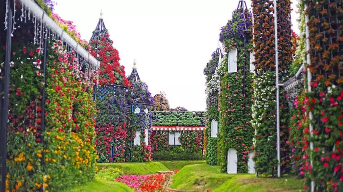 Парк цветов Dubai Miracle Garden