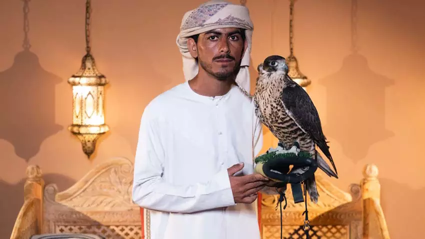 Desert Safari in Dubai + Noble Safari Camp - Photo 5