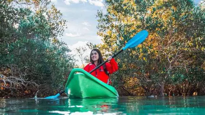 Каякинг в мангровых зарослях в Абу-Даби