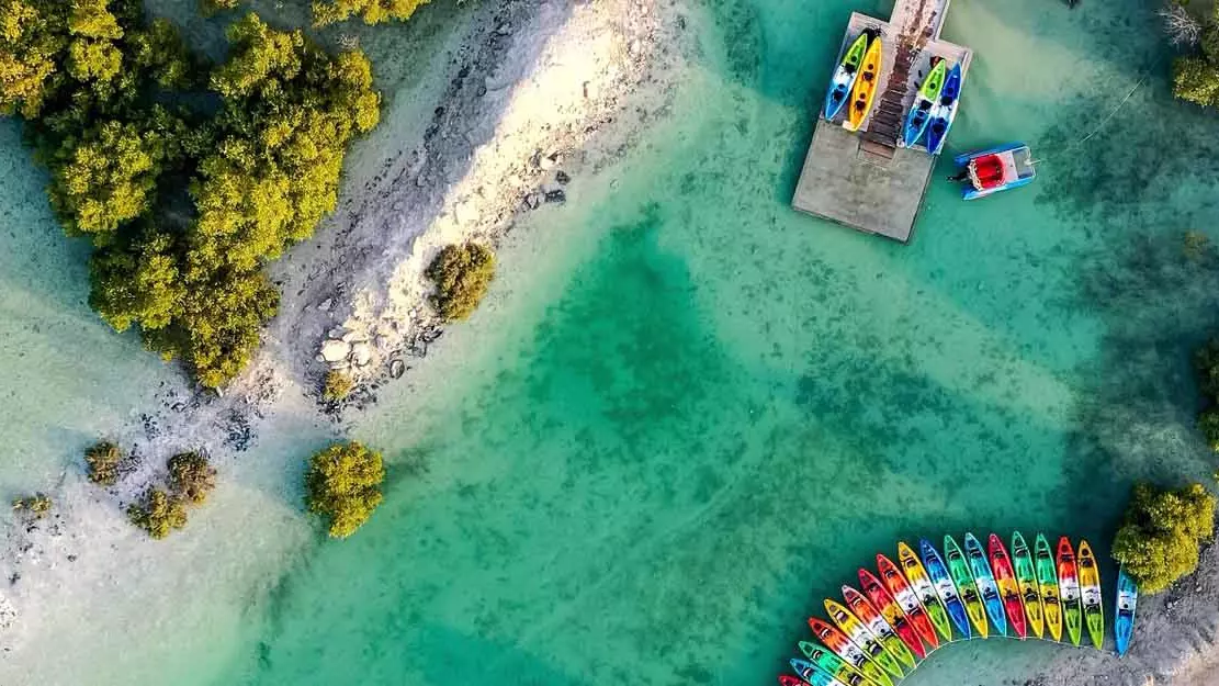 Каякинг в мангровых зарослях в Абу-Даби