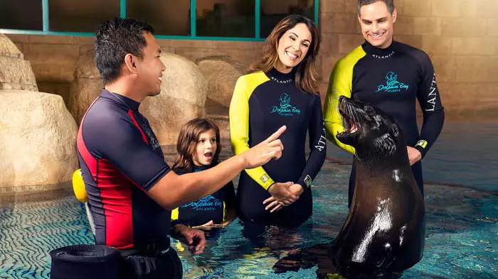 Dolphin Bay at Atlantis the Palm - Photo 2