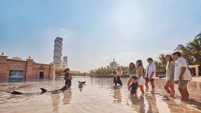Dolphin Bay at Atlantis the Palm - Photo 3