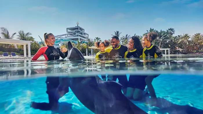 Dolphin Bay at Atlantis the Palm - Photo 18