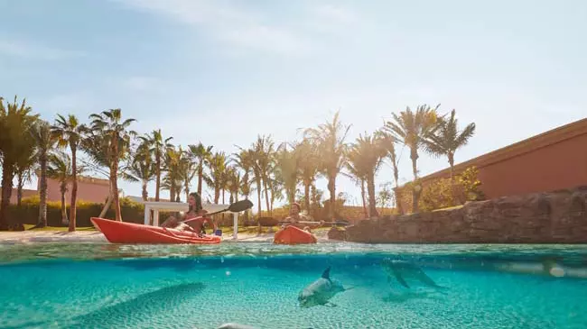 Dolphin Bay at Atlantis the Palm - Photo 5