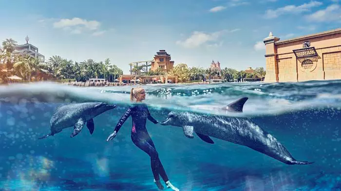 Dolphin Bay at Atlantis the Palm - Photo 11