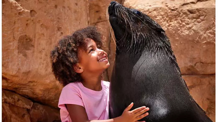 Dolphin Bay at Atlantis the Palm - Photo 28