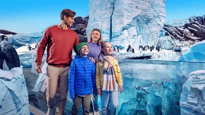 Sea World Abu Dhabi - Photo 2