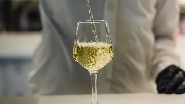 Alexandra Sea Lounge - Photo 32